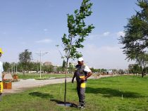В южной части Бишкека открыли новый парк