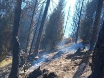 В горах Иссык-Куля продолжают тушить пожар