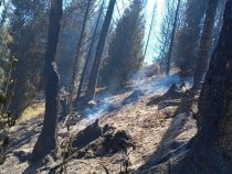Пожар в горах Иссык-Куля полностью потушен