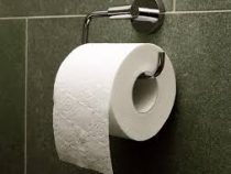 В Японии изобрели «люксовую» туалетную бумагу