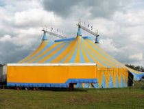 Эд Ширан решил провести свадебную церемонию в цирковом шатре