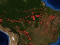 Бразилия не может защитить леса Амазонии: «зеленые легкие» планеты пожирает огонь
