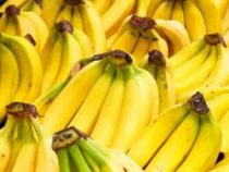 Покупатели  вскоре могут столкнуться с дефицитом бананов