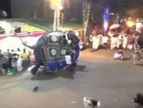 Слоны набросились на людей во время фестиваля на Шри-Ланке