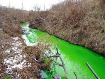 В Цюрихе вода в реке Лиммат стала неестественного ярко-зеленого цвета
