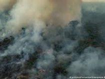 В Бразилии продолжают бороться с лесными пожарами