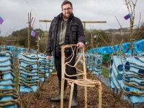 В Великобритании фермер выращивает мебель из деревьев