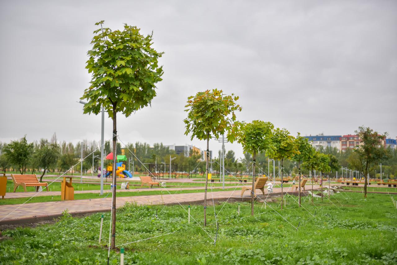Парк высаженный деревьями Ленина
