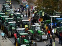 В Германии бастуют фермеры