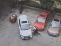Зрители посмеялись над видеороликом с паркующимся автомобилистом