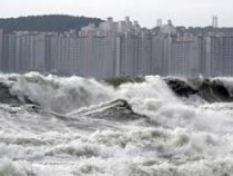 Тайфун «Митаг» обрушился на Корею, сотни зданий превратились в обломки
