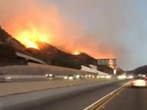 В Лос-Анджелесе отменили премьеру нового «Терминатора» из-за лесных пожаров