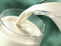 Гарантийный фонд поддерживает развитие молочной отрасли в стране