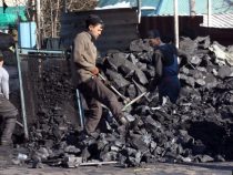 В Баткене  за неделю потребительская цена за тонну угля выросла на 1,5 тысячи сомов