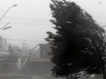 В Бишкеке и Чуйской области сегодня ожидается сильный ветер