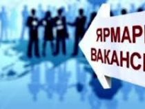 Очередная Ярмарка вакансий пройдет в Бишкеке