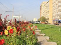 В Бишкеке появилась еще одна зеленая зона
