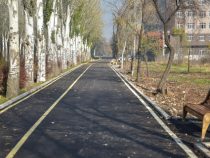 В южной части Бишкека строится кольцевая велодорожка