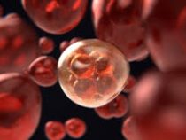 Японские ученые научились определять 13 видов рака по капле крови