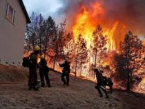 Из-за лесных пожаров эвакуировали более 2 тыс. жителей Калифорнии