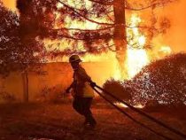 Студию Warner Brothers эвакуировали из-за пожаров в Калифорнии