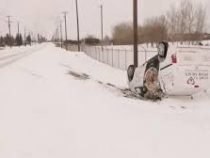 Более 175 ДТП произошло в канадском городе из-за снегопада