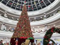 Самая высокая праздничная ёлка радует посетителей торгового центра
