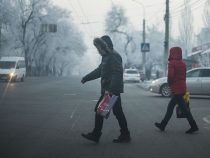 В Бишкеке зафиксированы первые заморозки
