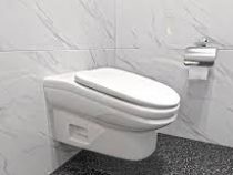 Ученые создали неудобный унитаз, чтобы люди часами не сидели в туалете
