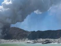 В Новой Зеландии спасатели не могут приступить к поискам пропавших без вести из-за активности вулкана