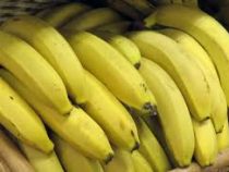 В бананах из Эквадора обнаружены переносчики холеры