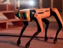 Полиция США взяла на службу робота-собаку