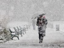 Снежными будут ближайшие пять дней в Бишкеке