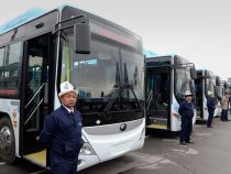 Мэрия Бишкека купит 520 новых автобусов