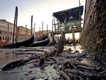 В Венеции из-за рекордных отливов обмелели речные каналы