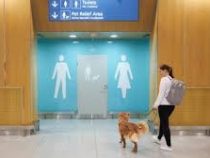 В аэропорту Хельсинки-Вантаа появились туалеты для собак