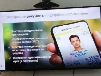 «Инфоком» собирается запустить виртуальный паспорт «Санарип ID»