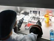 Китайские ученые разработали вакцину от коронавируса