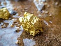 Власти Индии опровергли сообщения об обнаружении трёх тысяч тонн золота