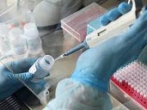 Медики проводят информационную кампанию по профилактике коронавируса