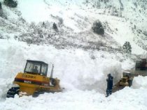 В Чаткальском районе сошла снежная лавина