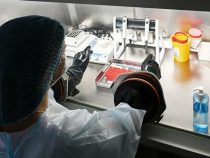 В Кыргызстан из России прибыли тест-системы диагностики коронавируса