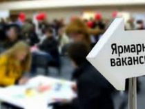 Очередная ярмарка вакансий пройдет в Бишкеке