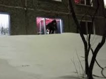 Суровые развлечения: Жители Воркуты устроили катание по снегу прямо из окна