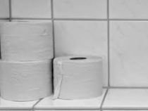 Жители Австралии начали воровать туалетную бумагу из общественных туалетов