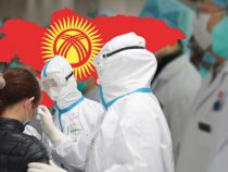В Кыргызстане выявлены еще 6 новых случаев заражения коронавирусом