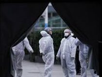 Темпы заражения коронавирусом в Китае снижаются