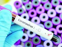 ВОЗ объявила, что ситуацию с коронавирусом в мире можно считать пандемией