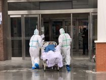 Первые случаи заражения коронавирусом в зафиксированы в Сузакском районе