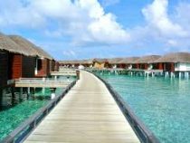 На Мальдивах построили люксовый «коронавирусный» курорт